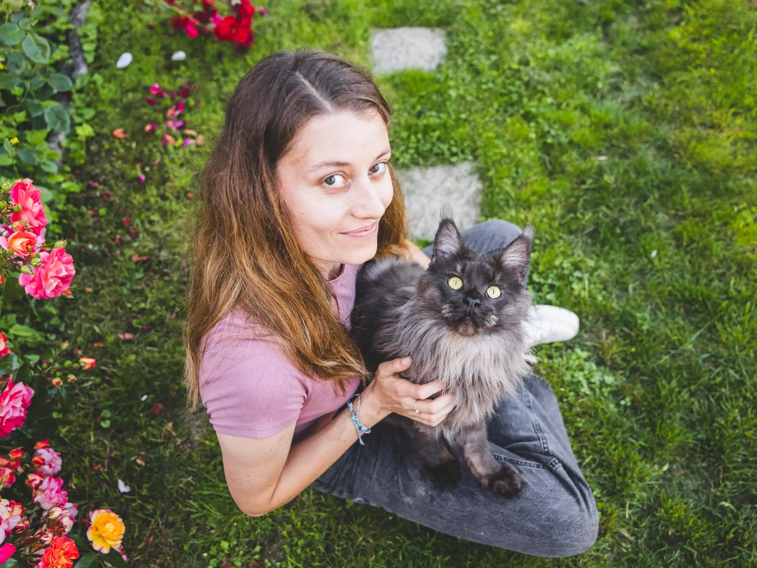Photo chat portrait famille humain