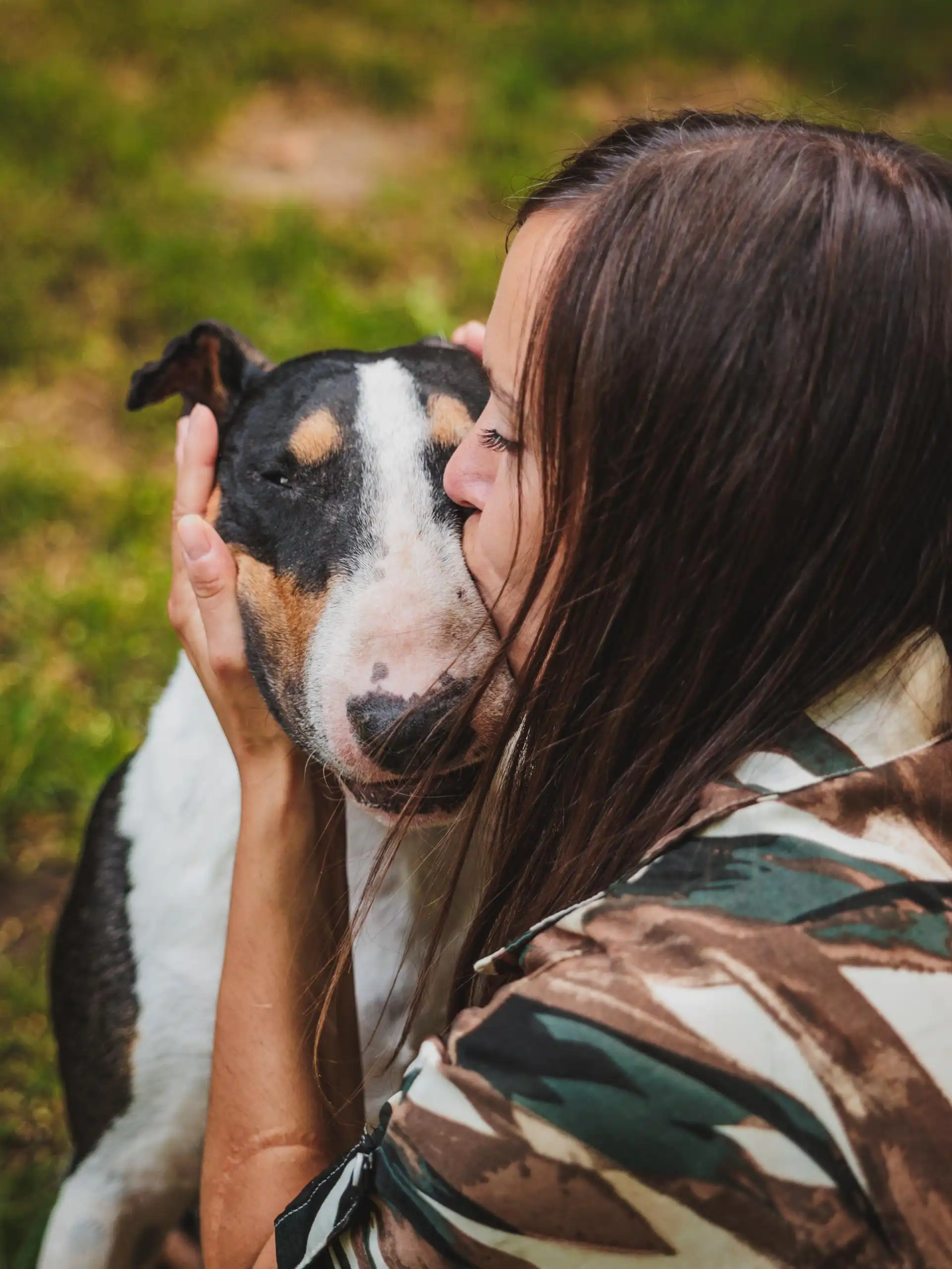 Photo portrait chien humain bisou bull terrier