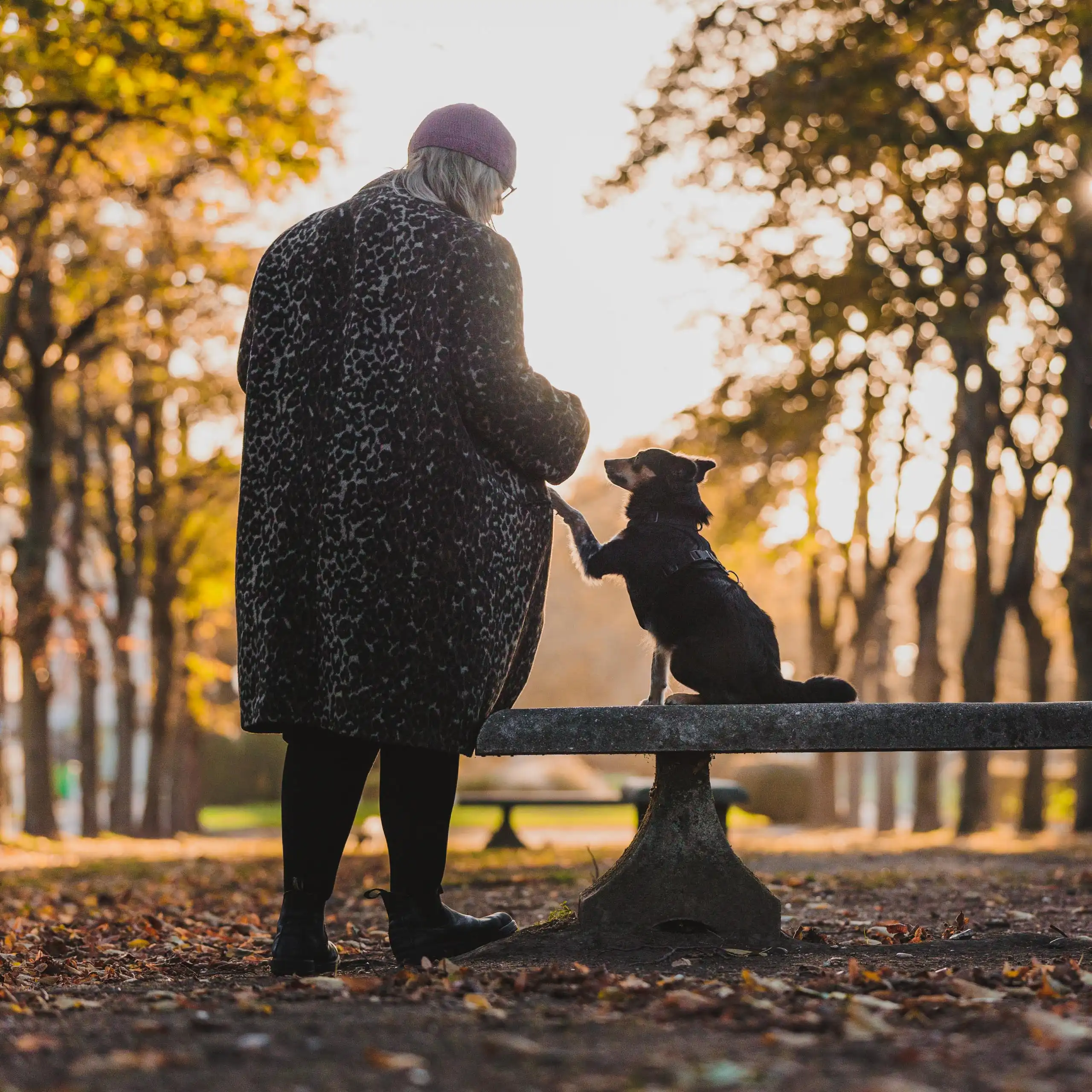 Photo portrait chien humain banc parc paris