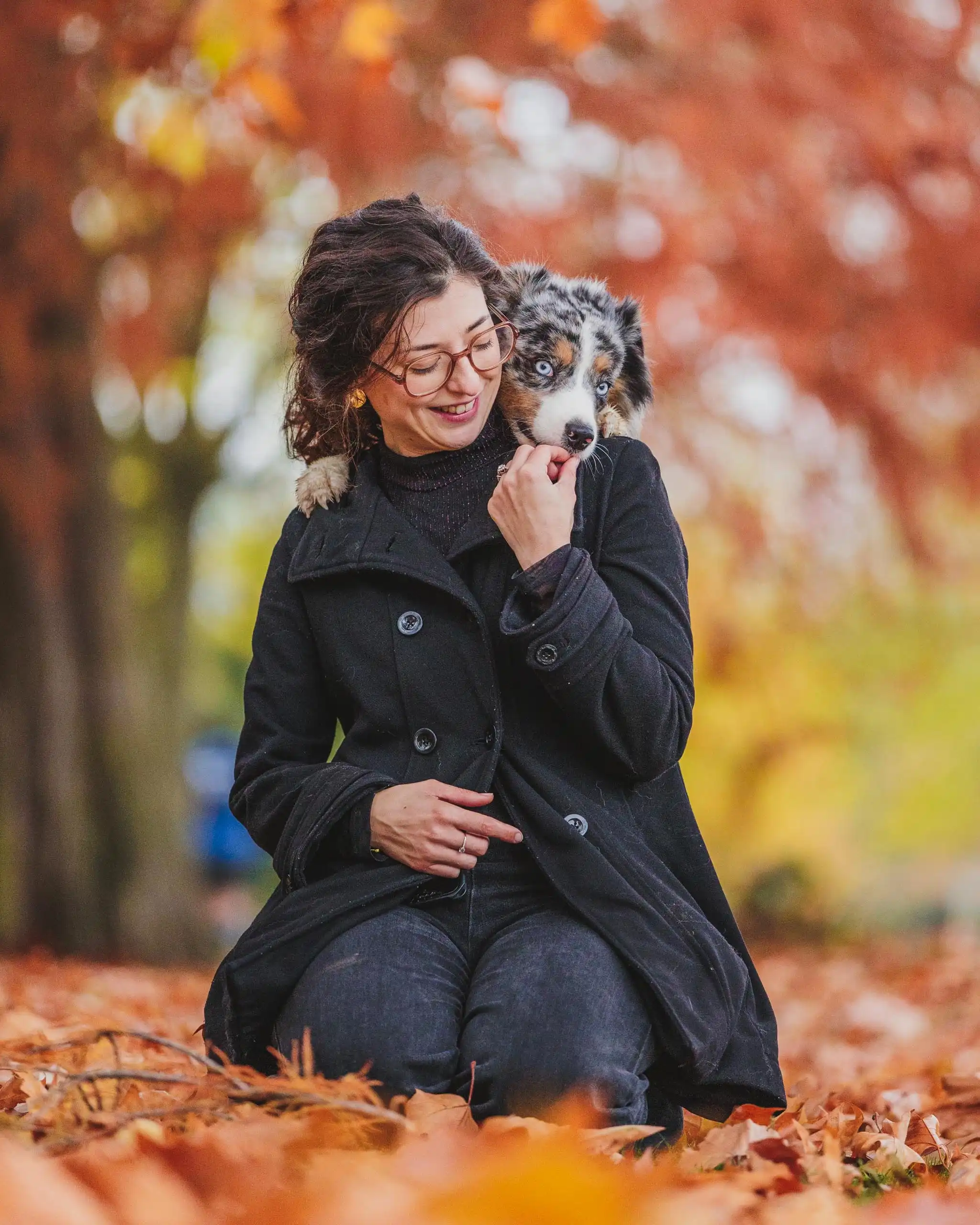 Photo portrait chien humain automne berger americain