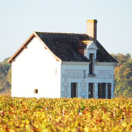 Domaine-Jourdain