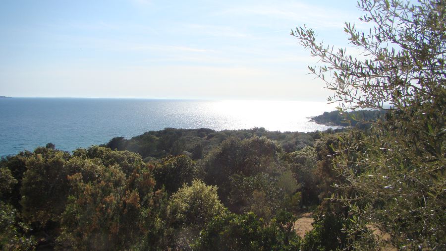 Vue mer panoramique golfe valinco