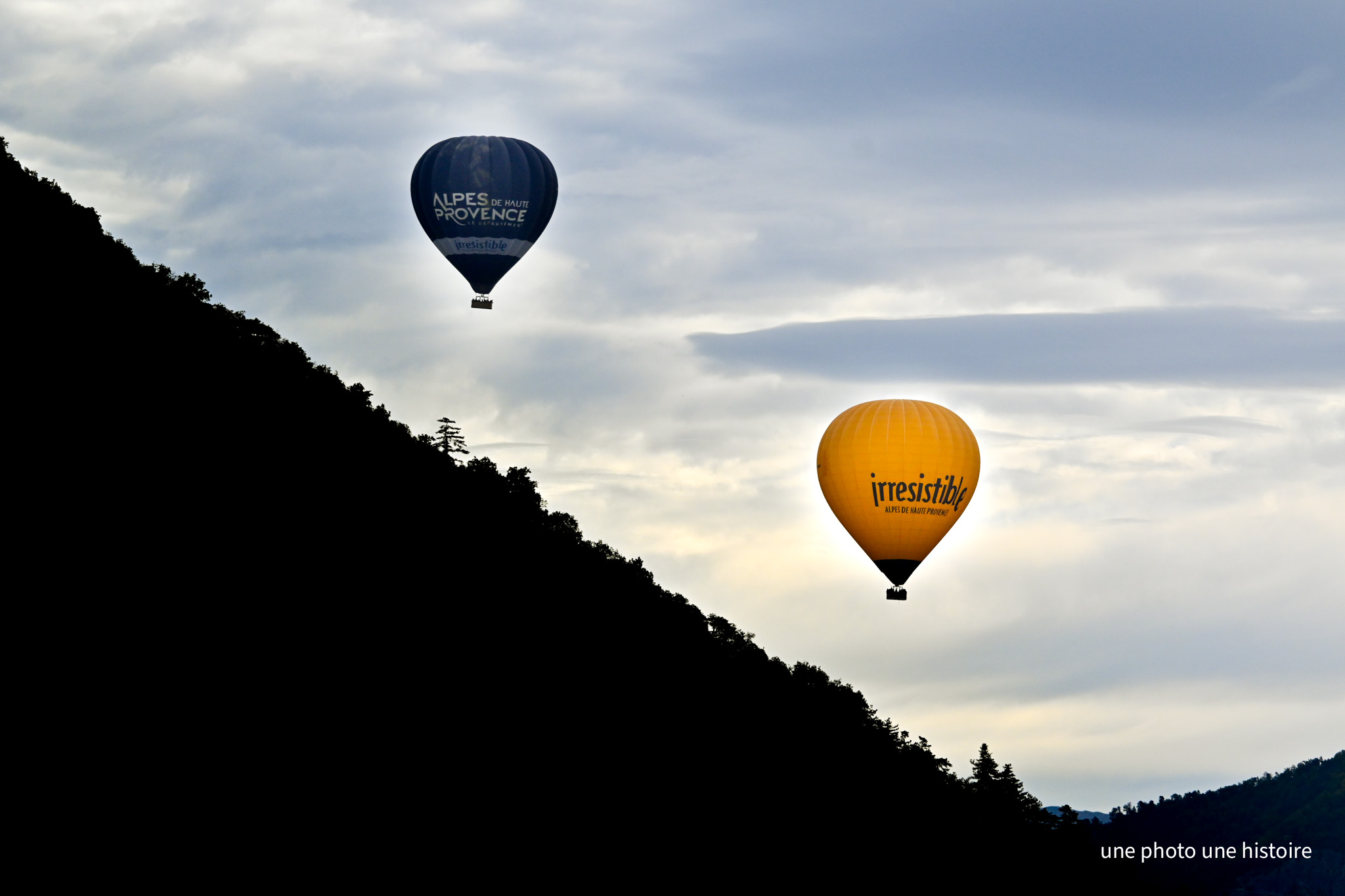 559566217 804361315307554 5927745571261622778 n