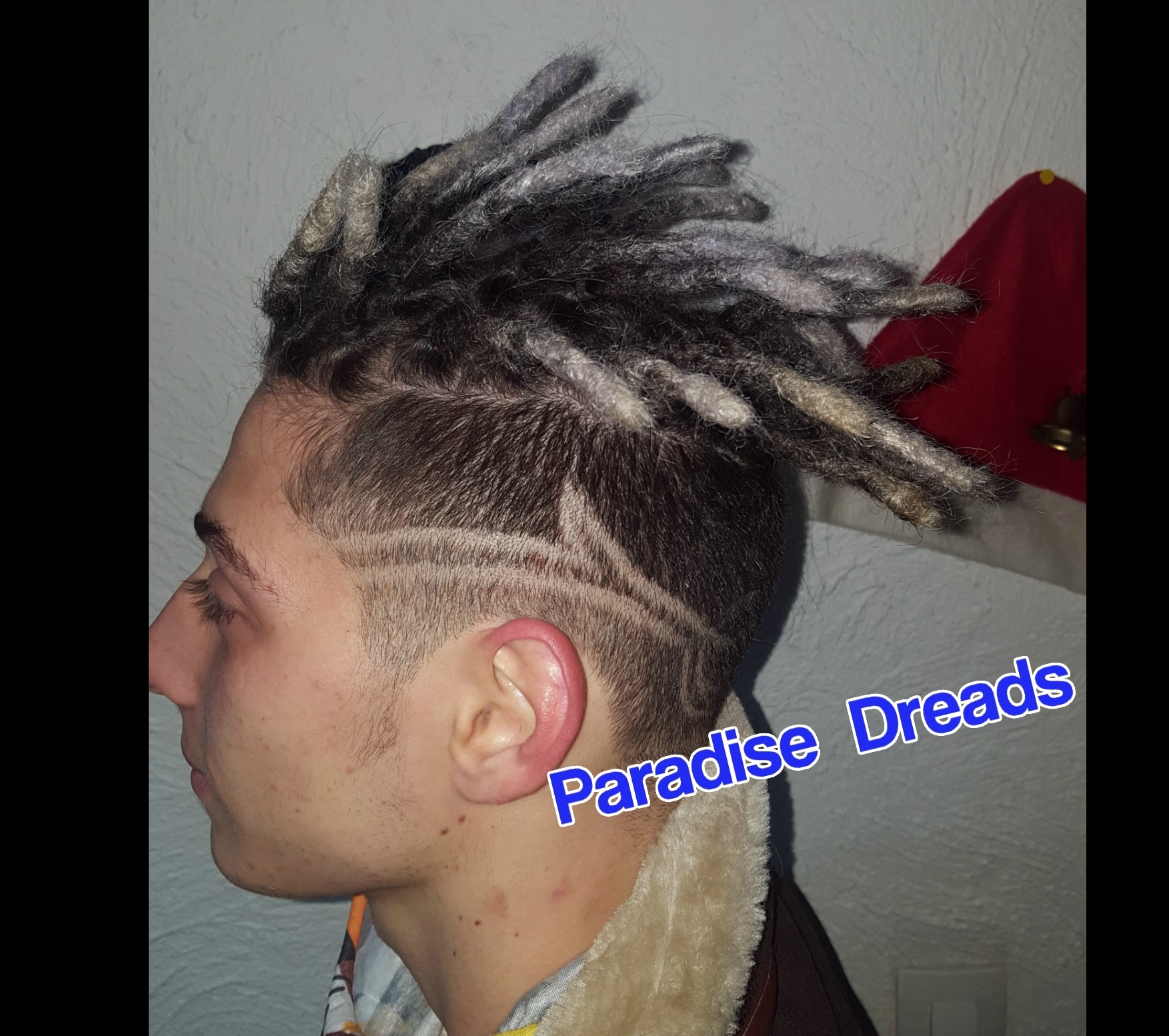 Dread grise grey rasta