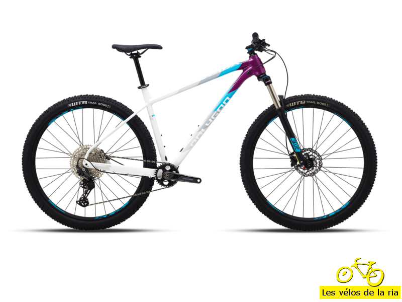 Vente velo vtt xtrada 7 marque polygon velos de la ria 56 morbihan