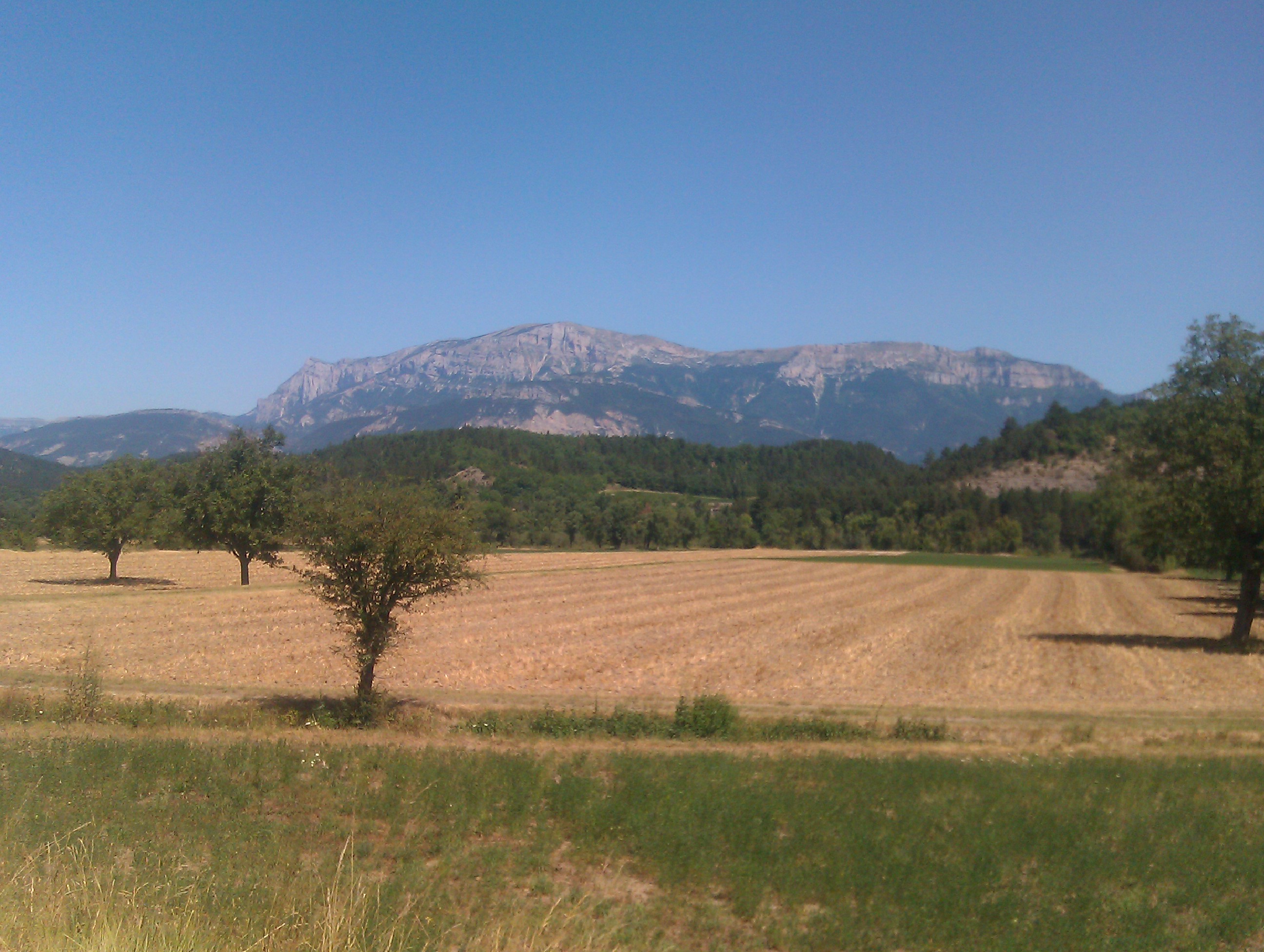 Imag0257