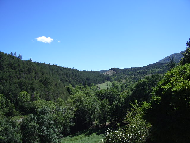 Imgp3459