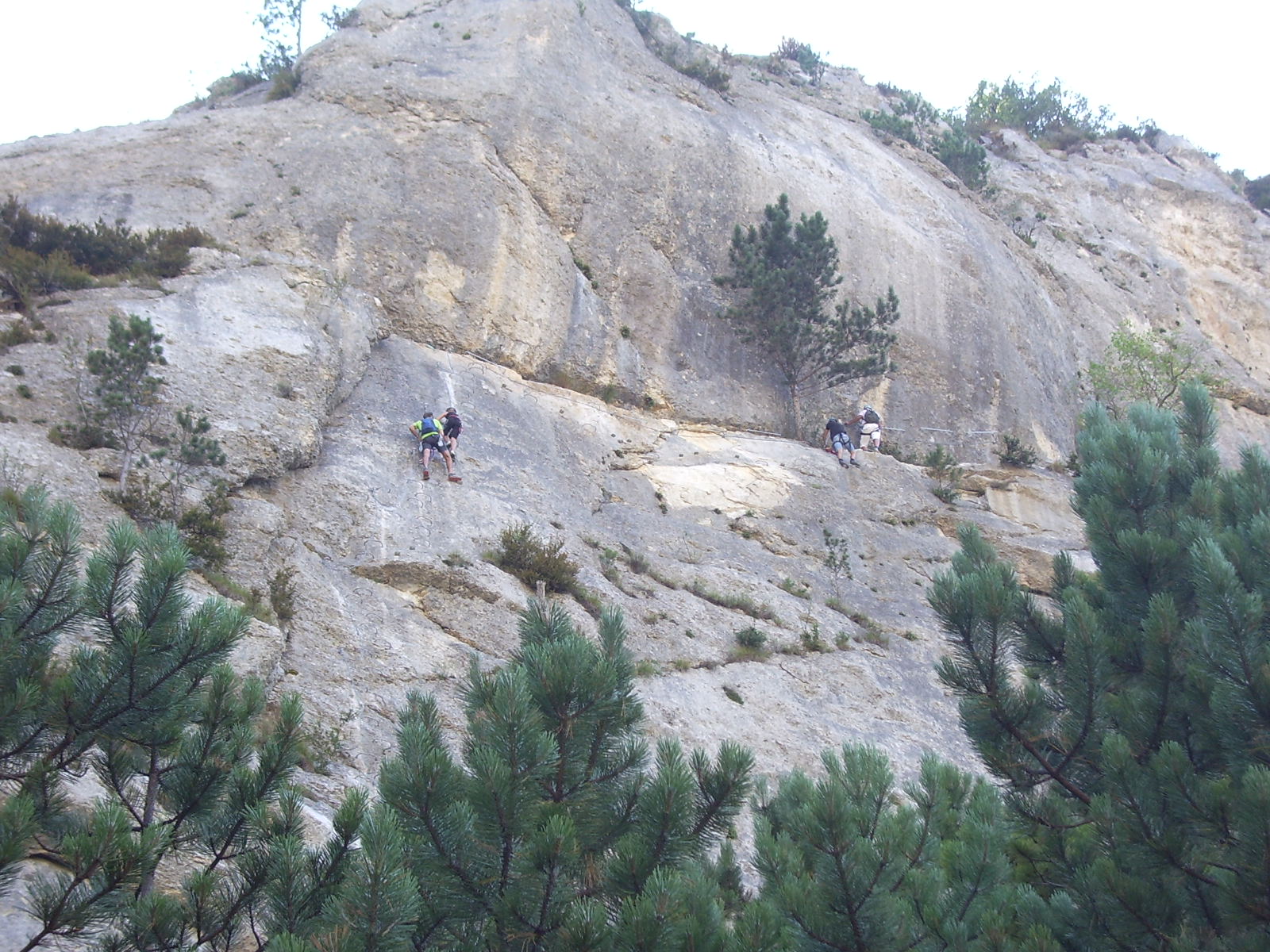 Imgp6258