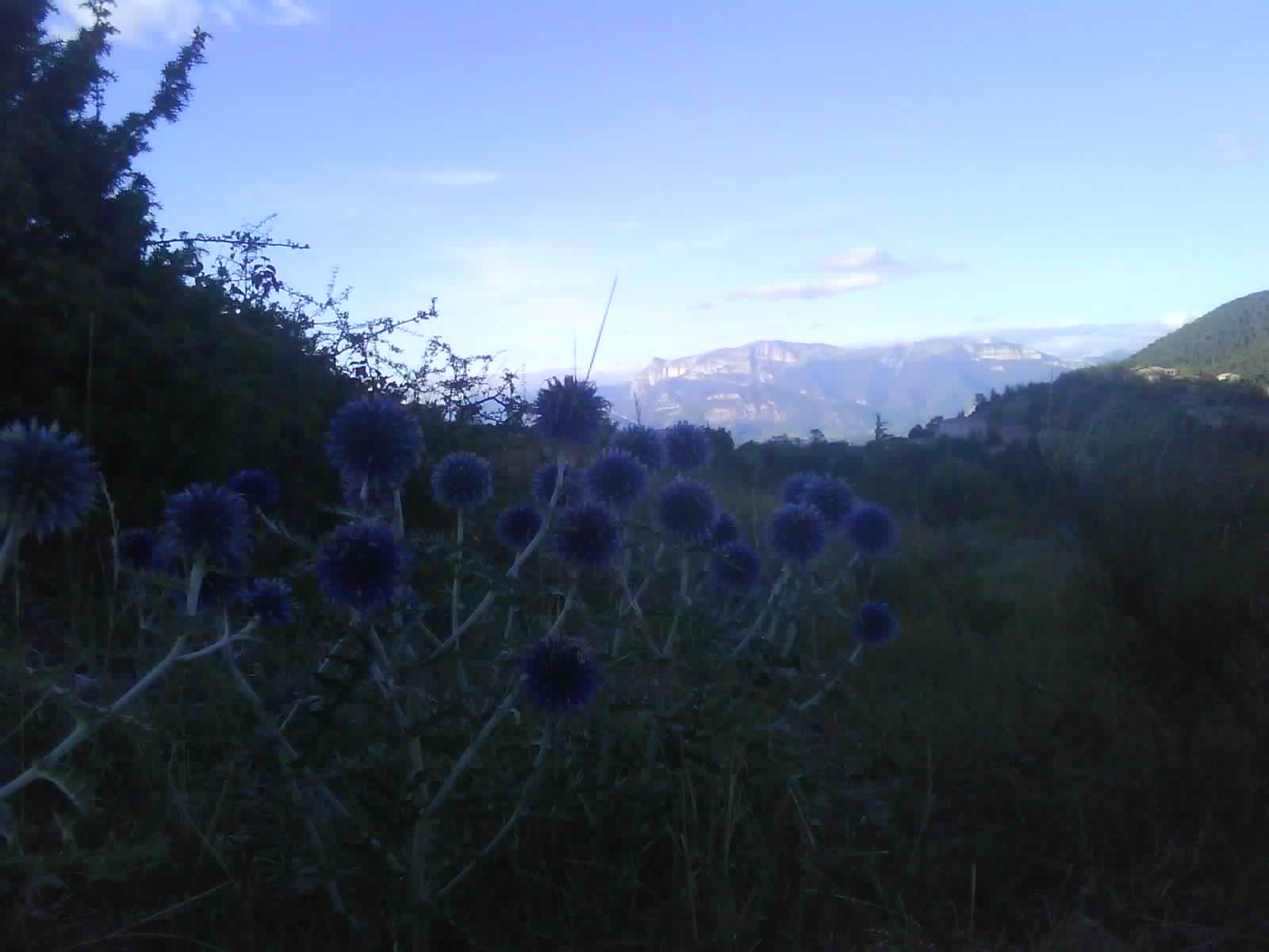 Photo 0068