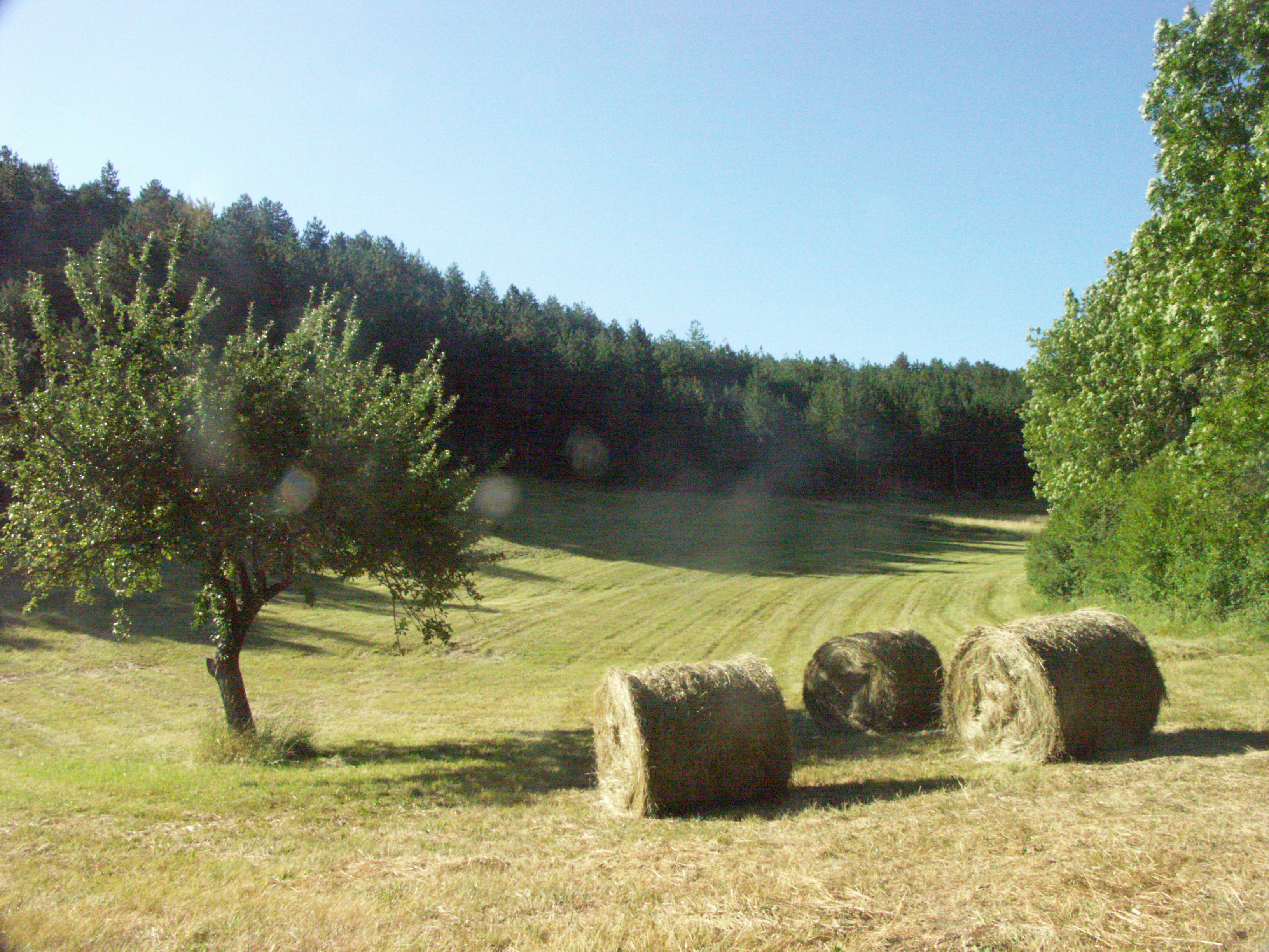 Pict0021