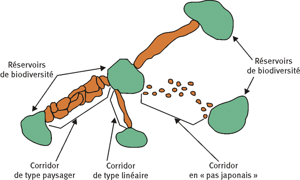 Trame-verte-et-bleue