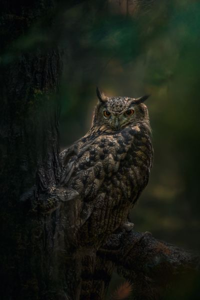 Vanleeuw-Loic-DSC 0417-Edit