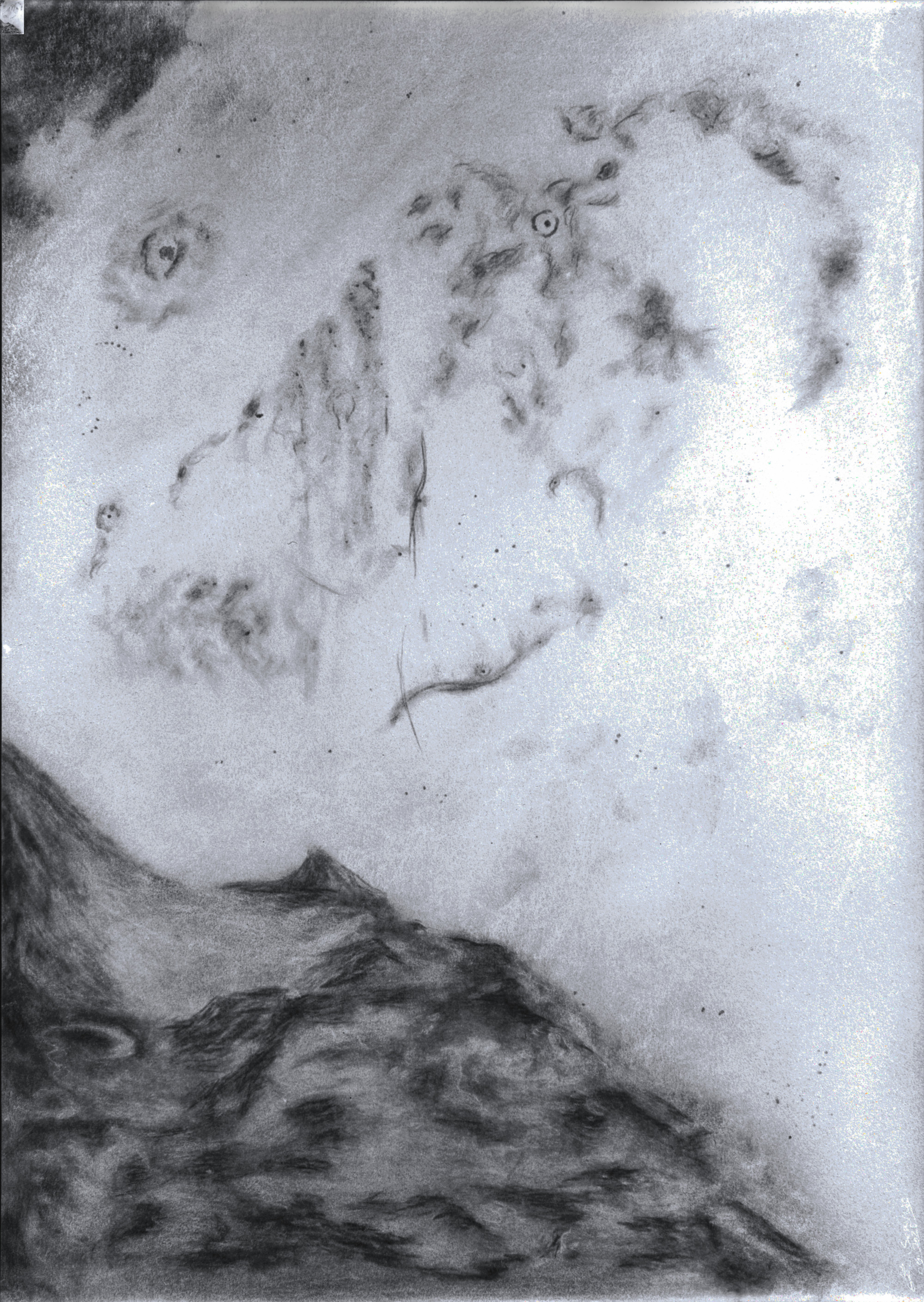 27 vulpes nebulae sans bordures master variation inversee web