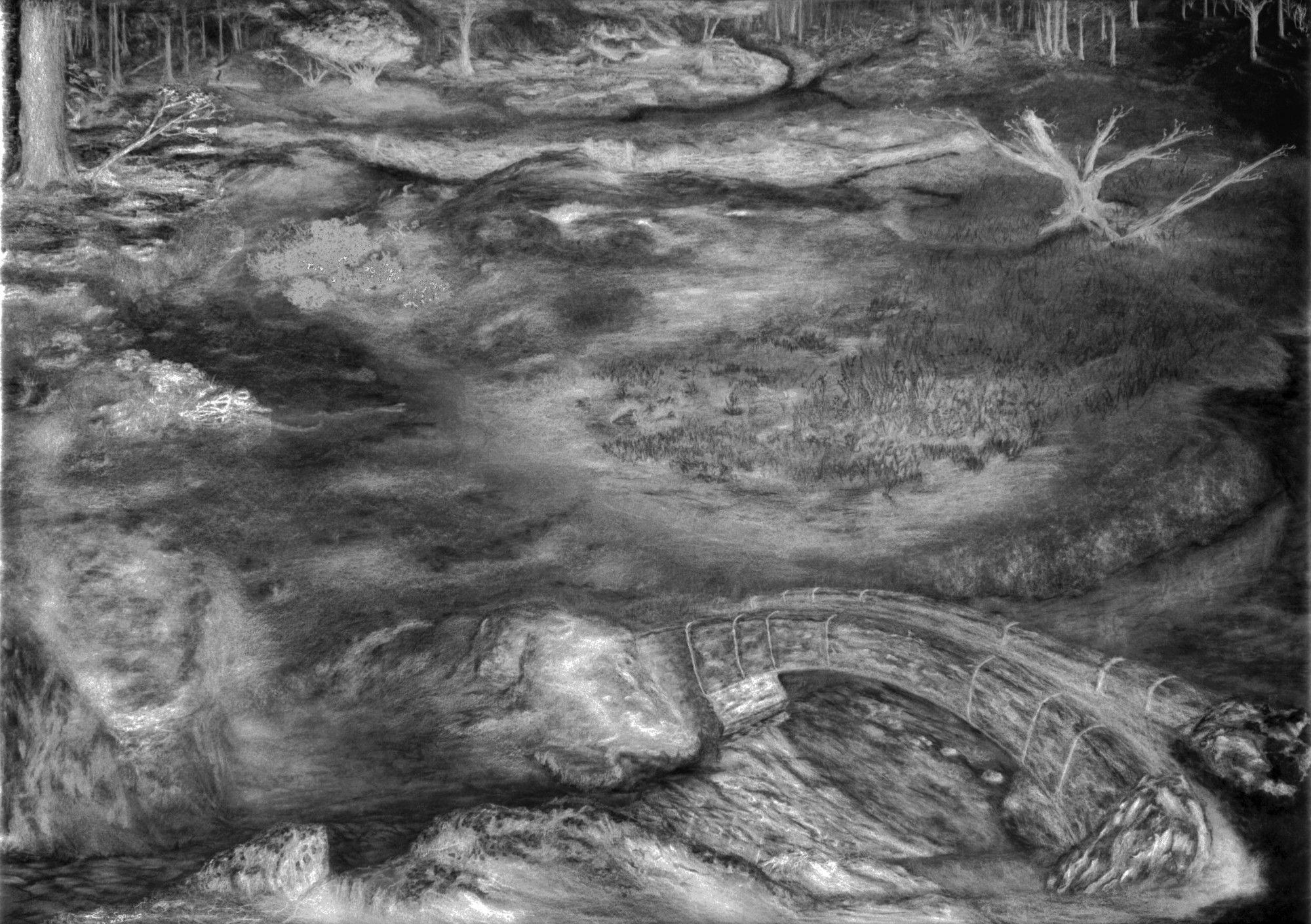 9 quatre matins la foret eternelle sans bordures master variation inversee web
