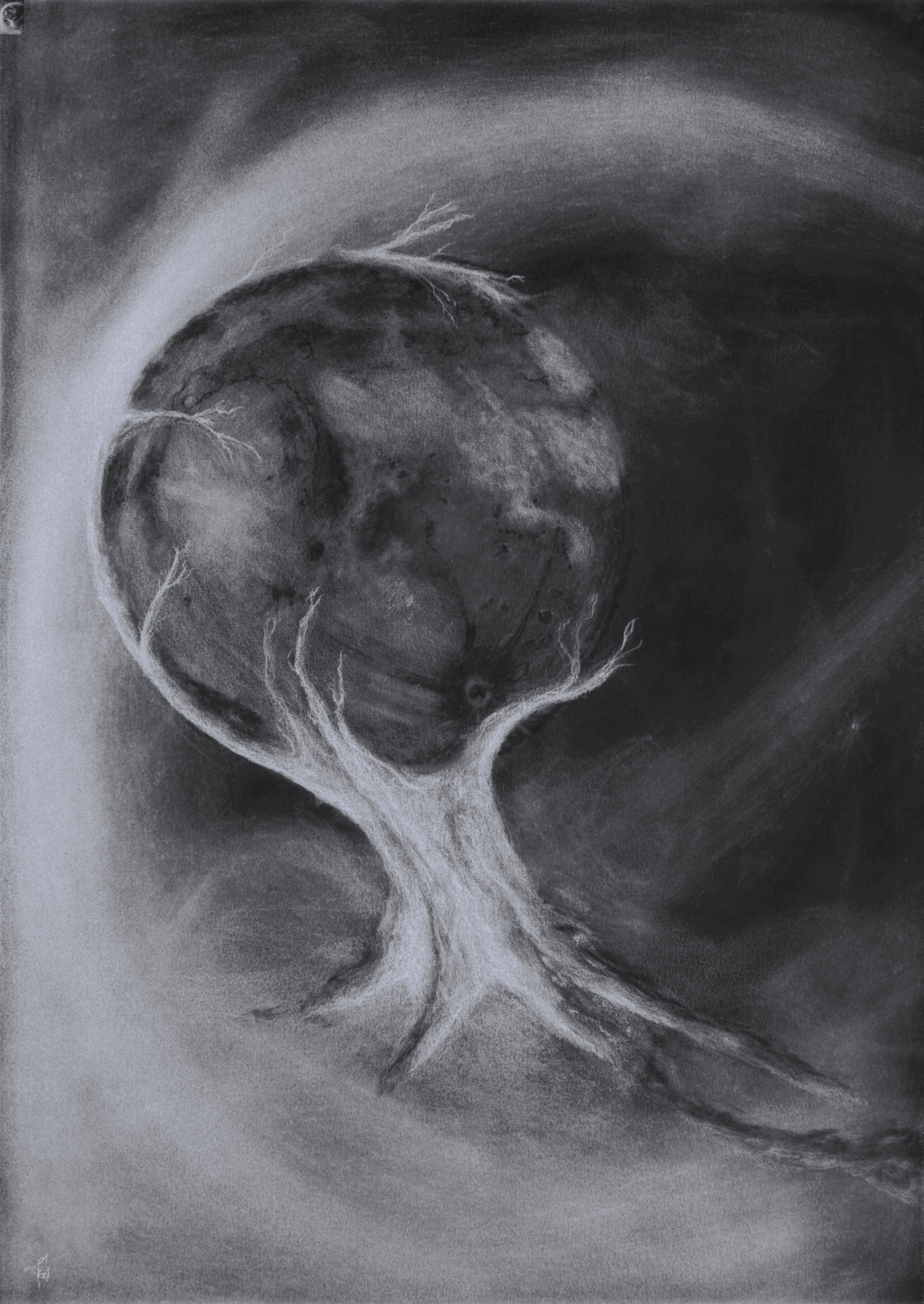3 treemoon sans bordures master variation inversee web