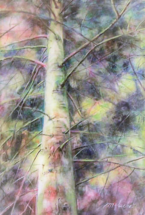 Arbre1