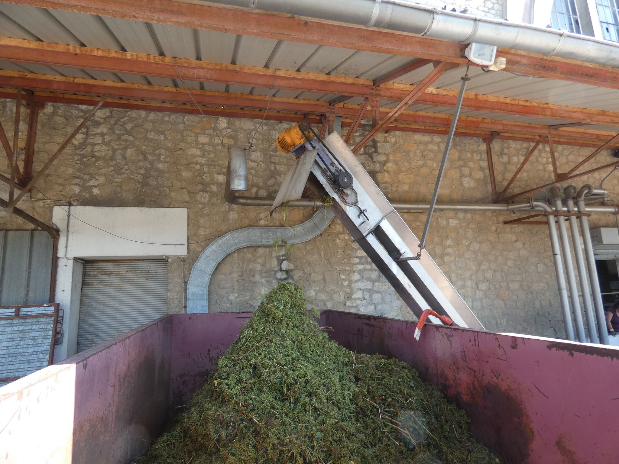 Vendanges 2021