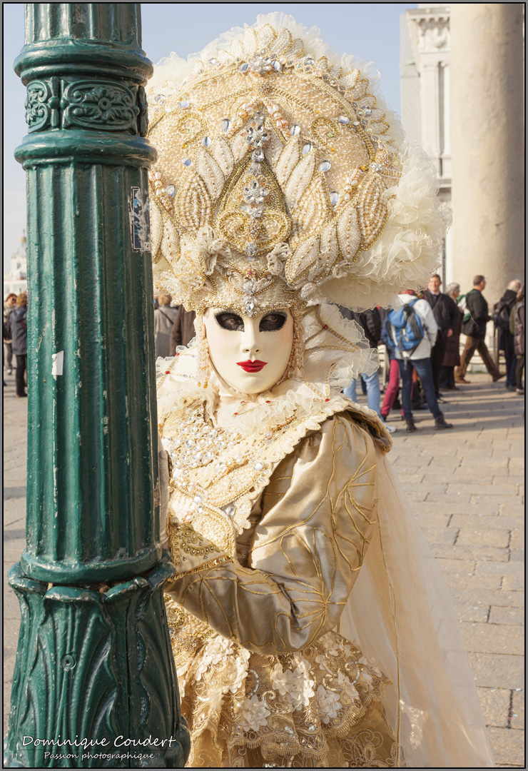 Carnaval venise 2014 10 20140324 1406198082