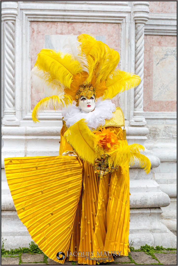 Carnaval venise 2014 6 20140324 1420759515