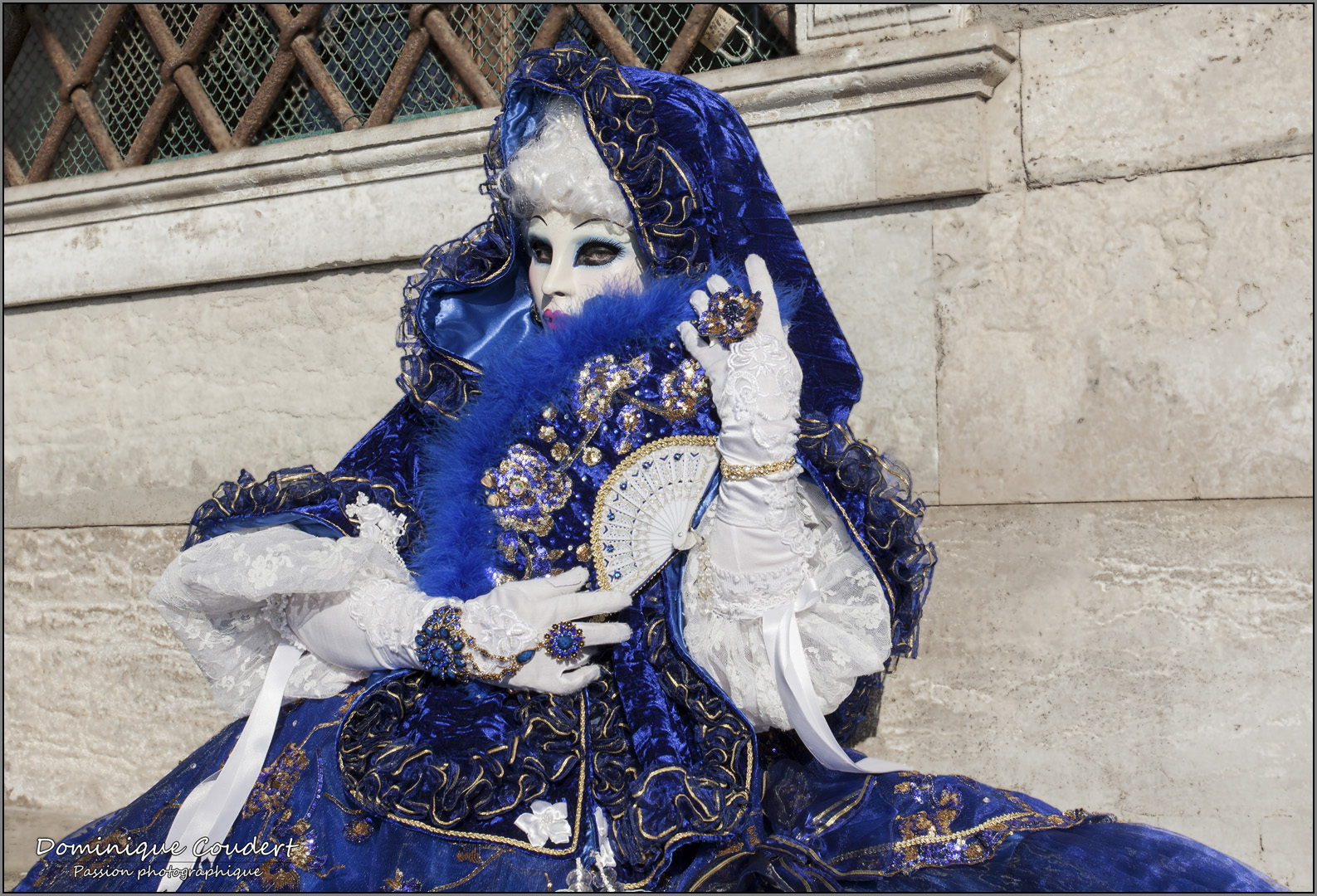 Carnaval venise 2014 1 20140324 1265599495
