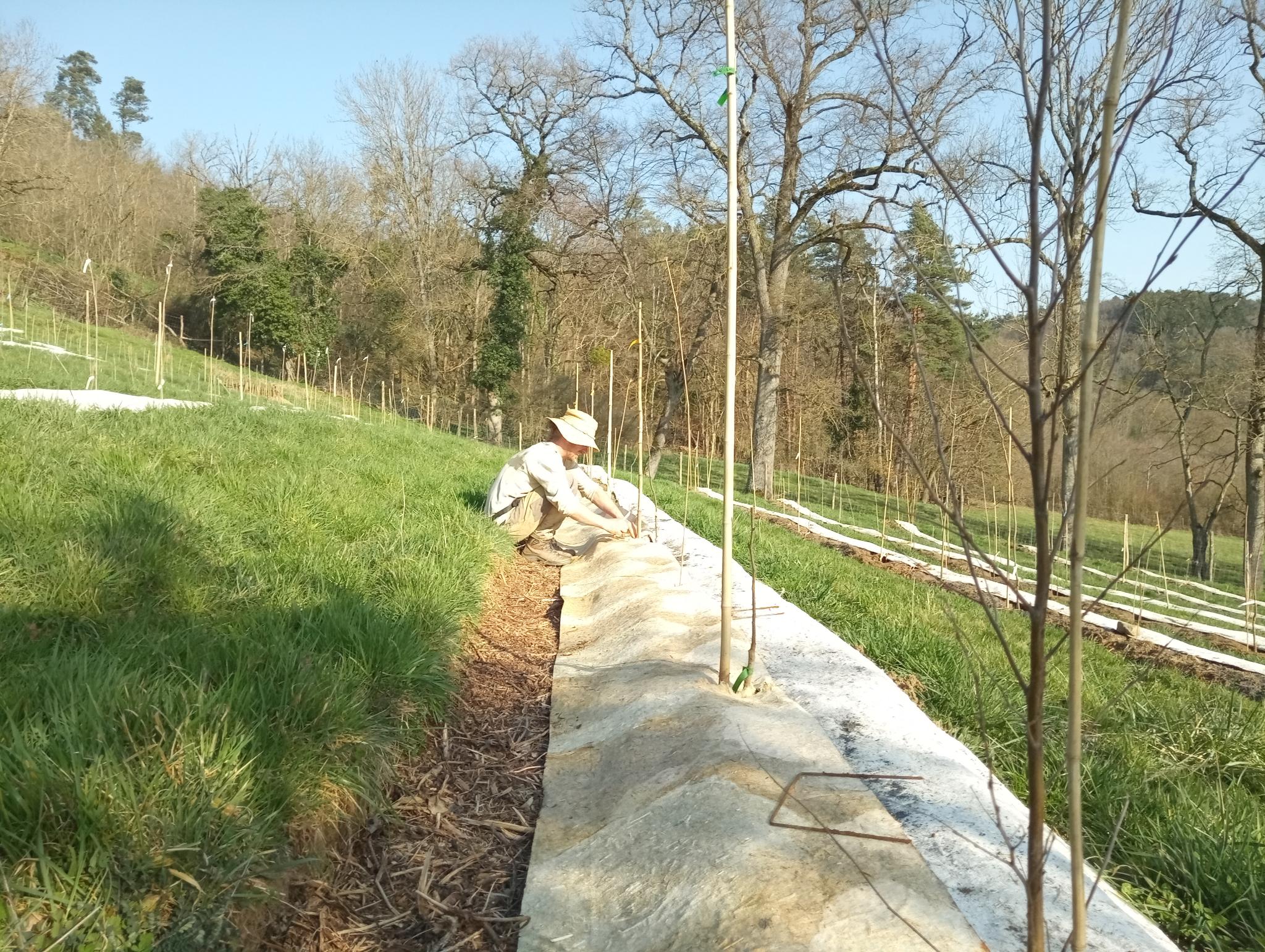 Image2