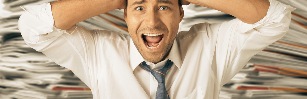 Le statut du Dirigeant