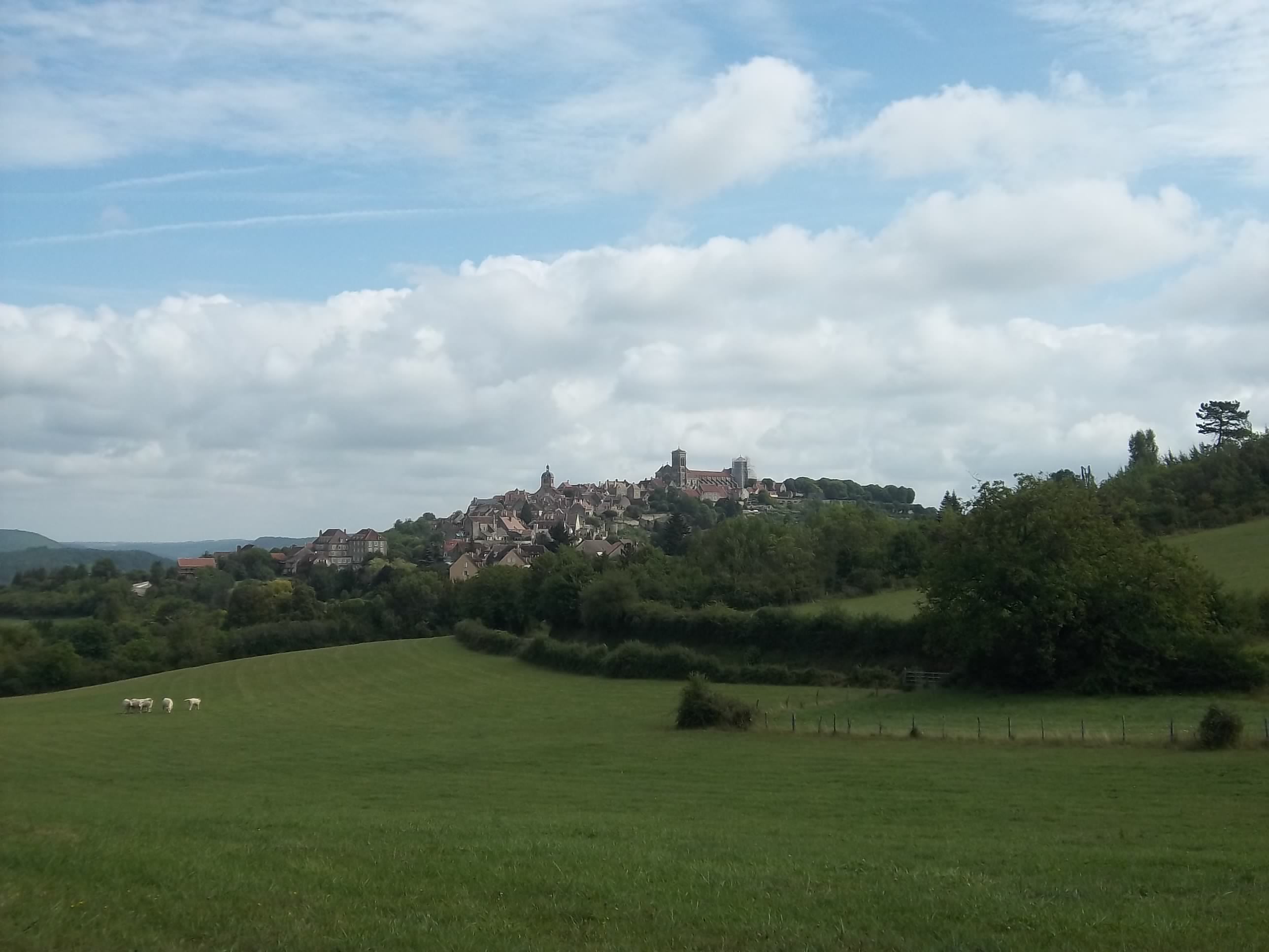 IMGP1088