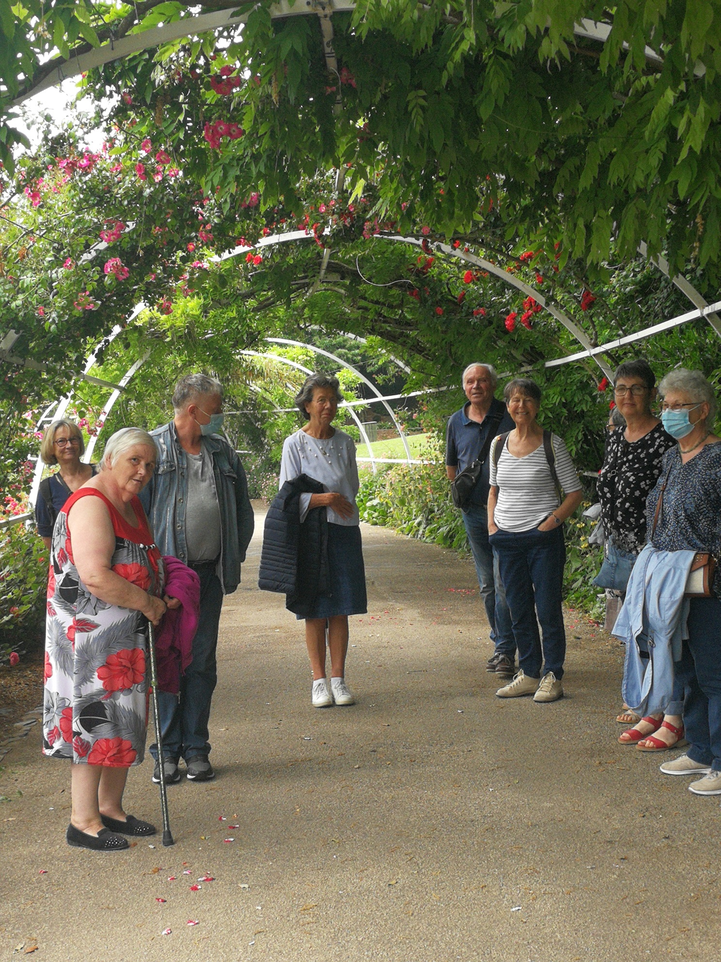 La colline aux oiseaux