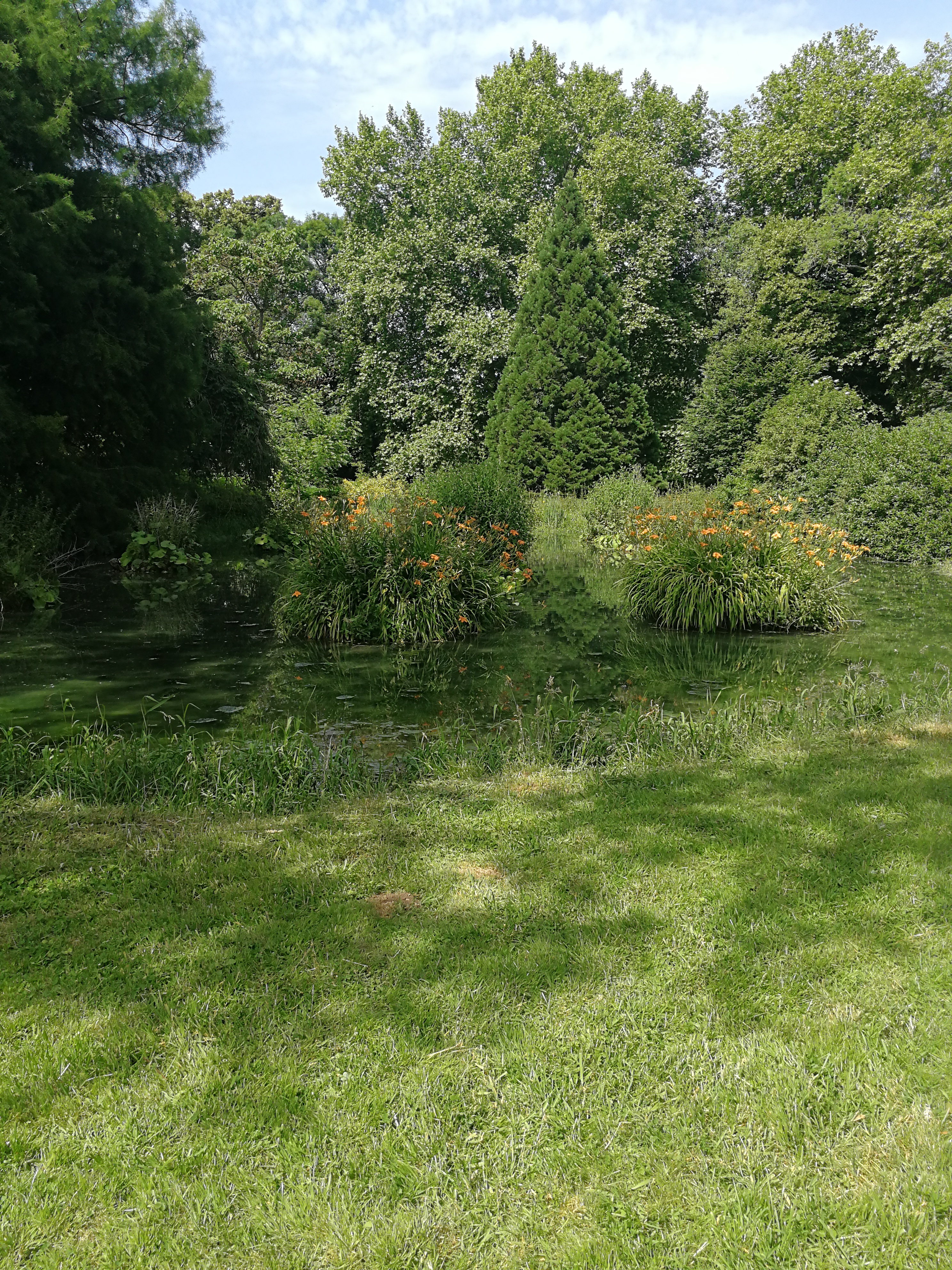 Img 20220616 162055