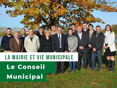 Vignette-le-conseil