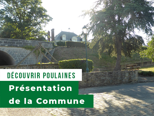 Vignette-presentation