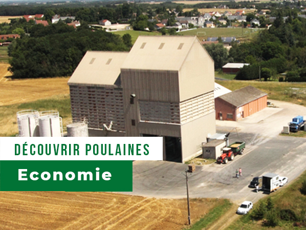 Vignette-economie