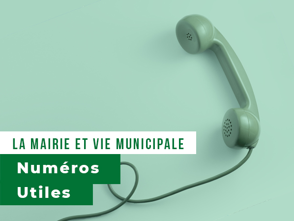Vignette-numeros-utiles
