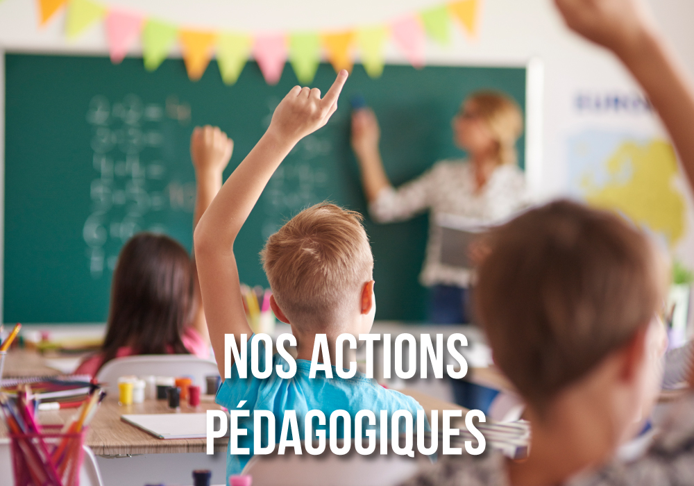 Vignette-nos-actions-pedagogiques