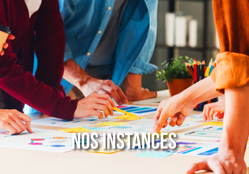 Vignette-nos-instances
