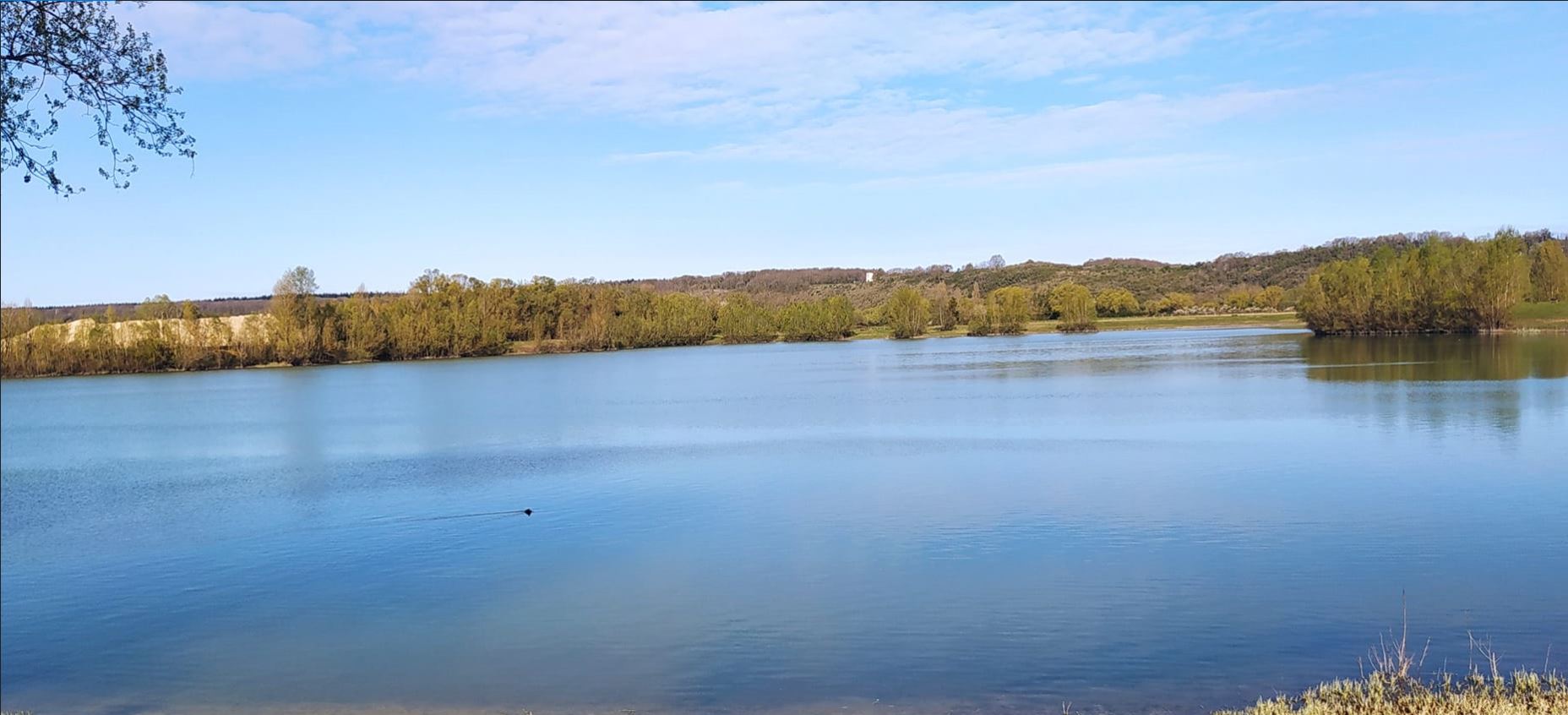 Photo-lac