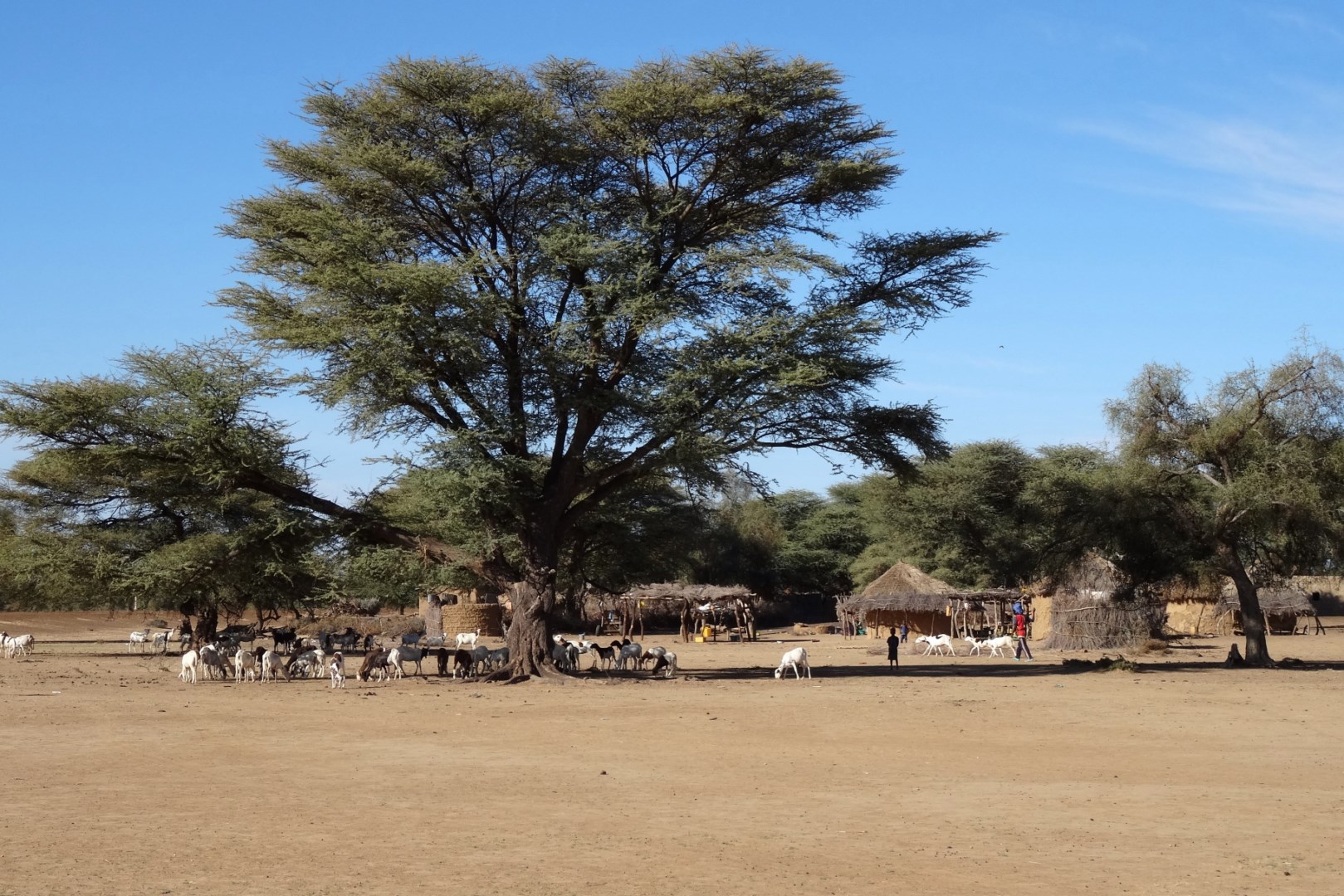 2013 12 village 3 