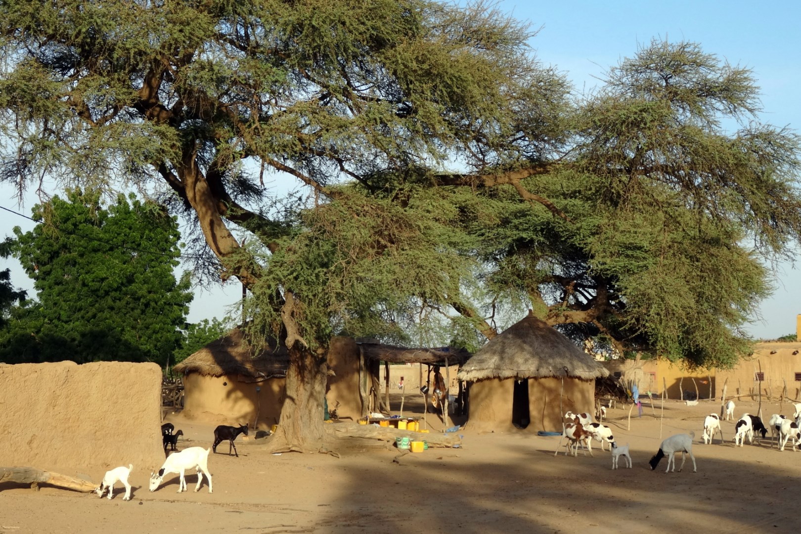 2013 12 village 9 