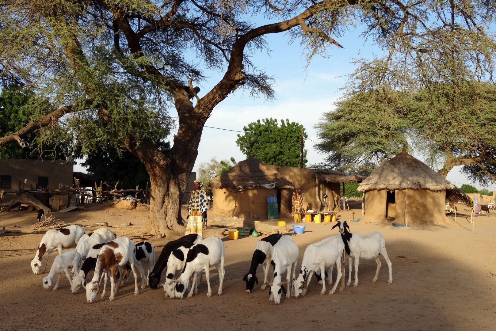 2013 12 village 10 