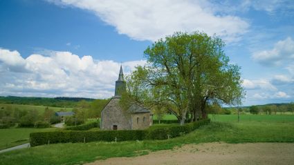 Selection briquemont site 6