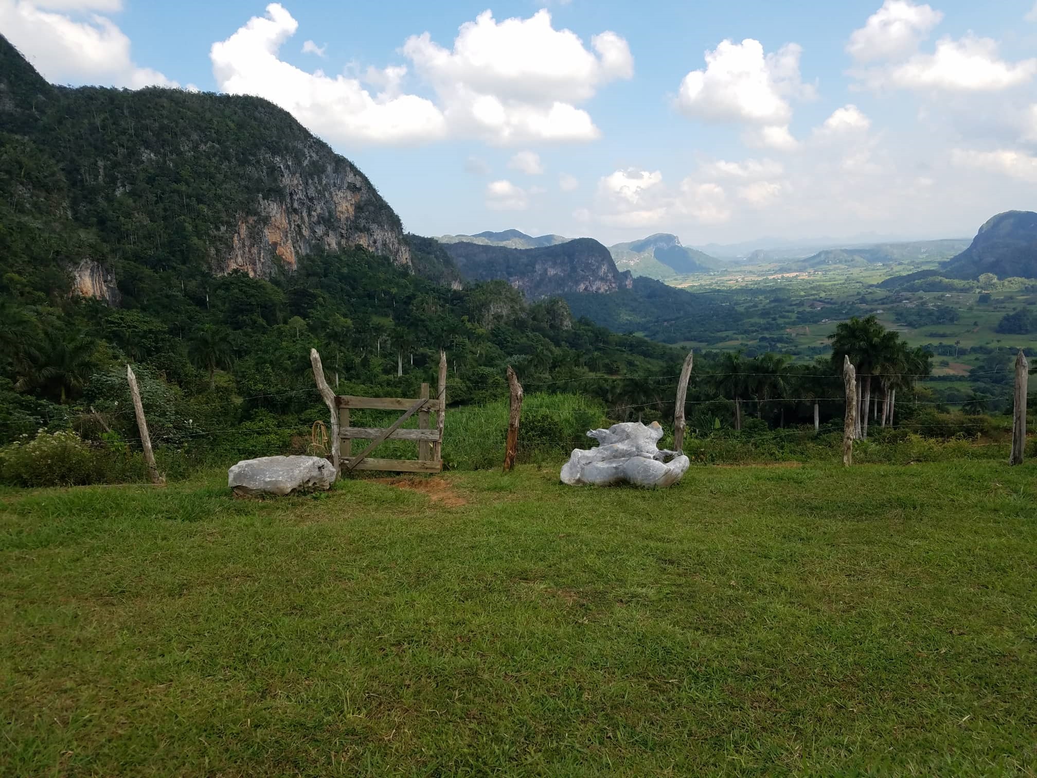 Vinales 1 