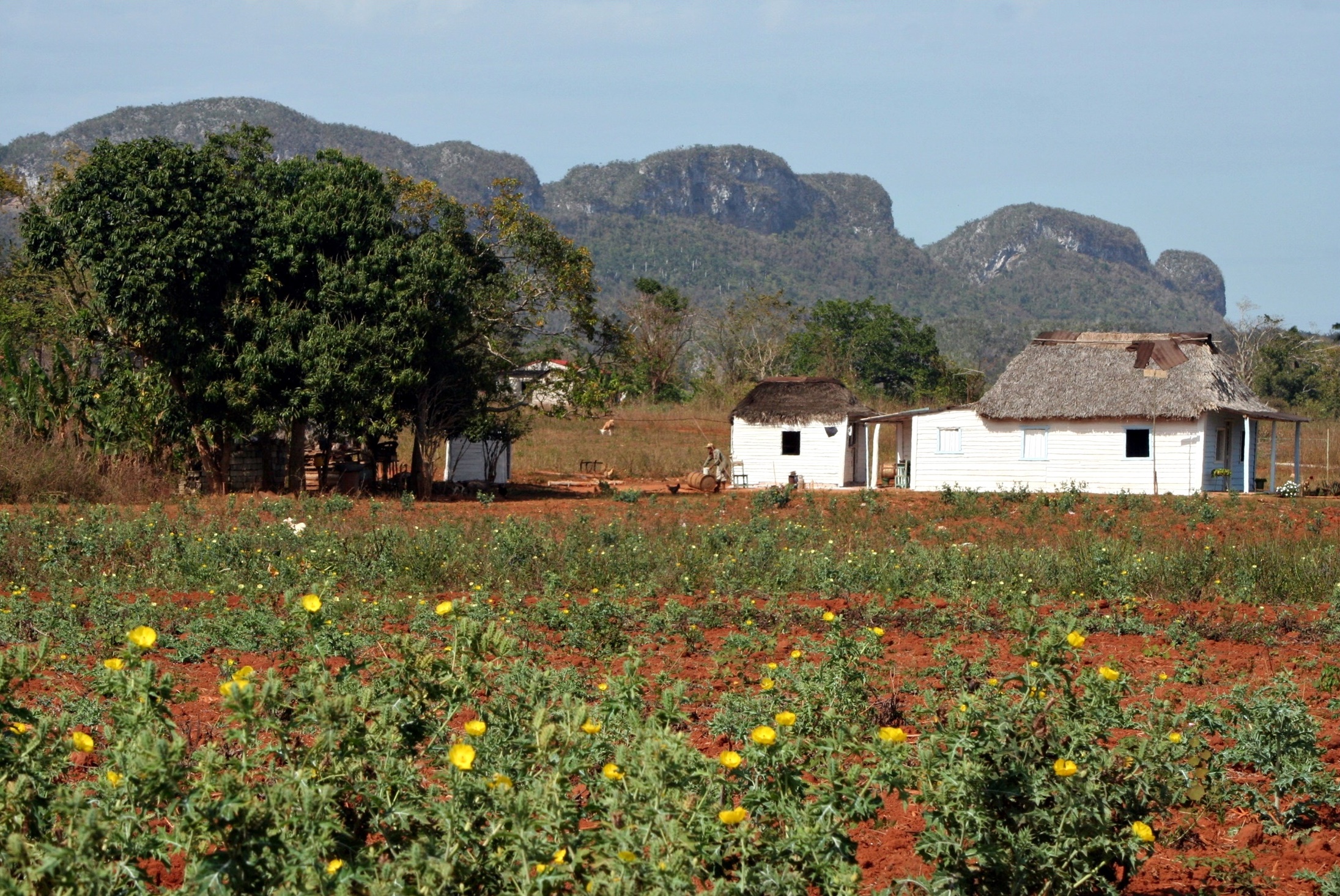 Vinales 6 