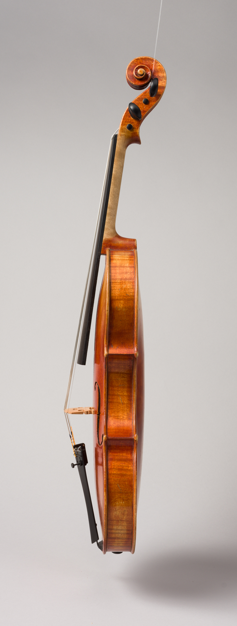 Amandine hervouet lutherie violon principe doria 3 credit photo philippe hervouet jpg