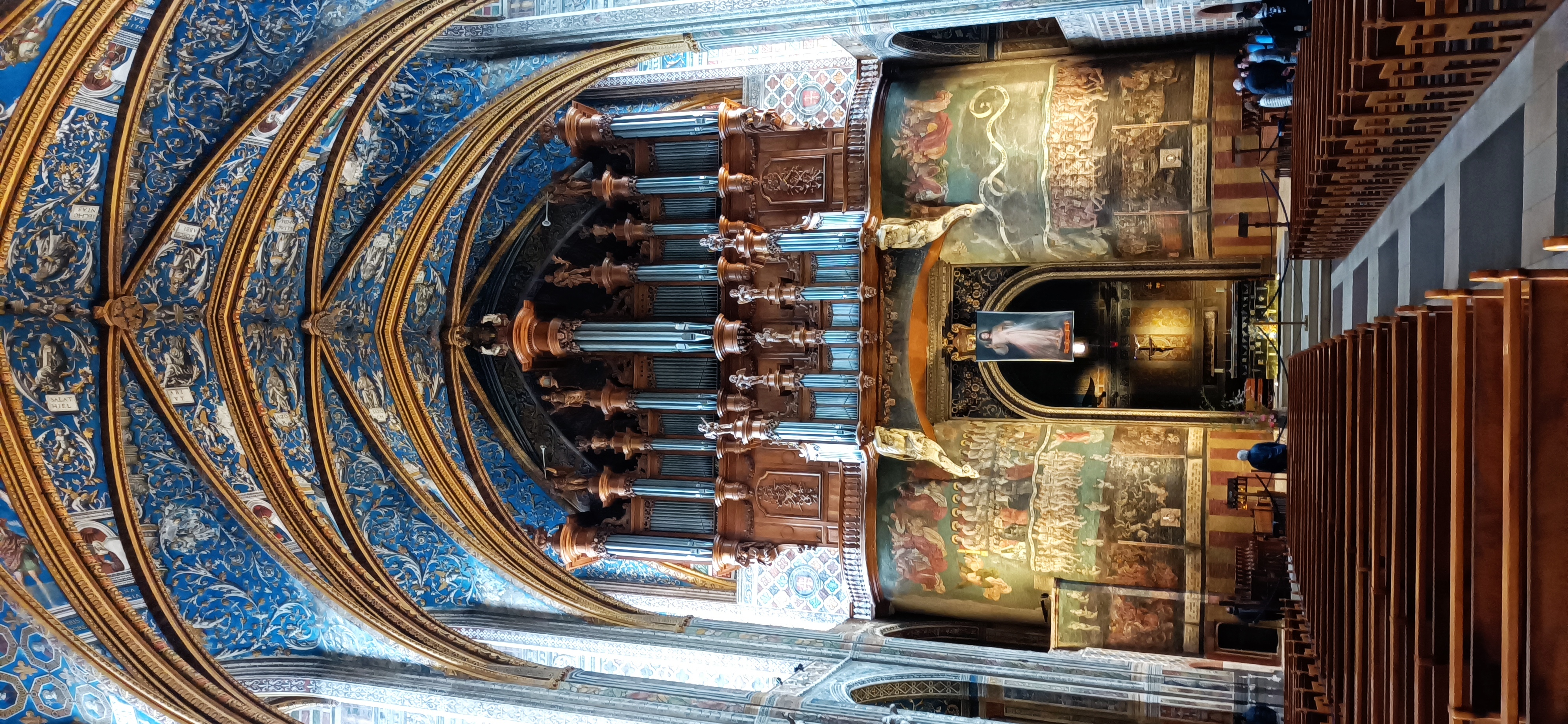 Albi 2
