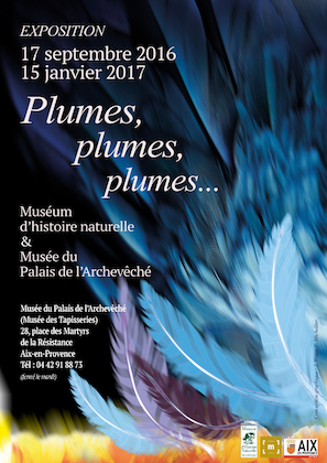 Plumes, plumes, plumes...