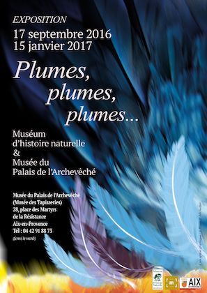 Plumes, plumes, plumes...