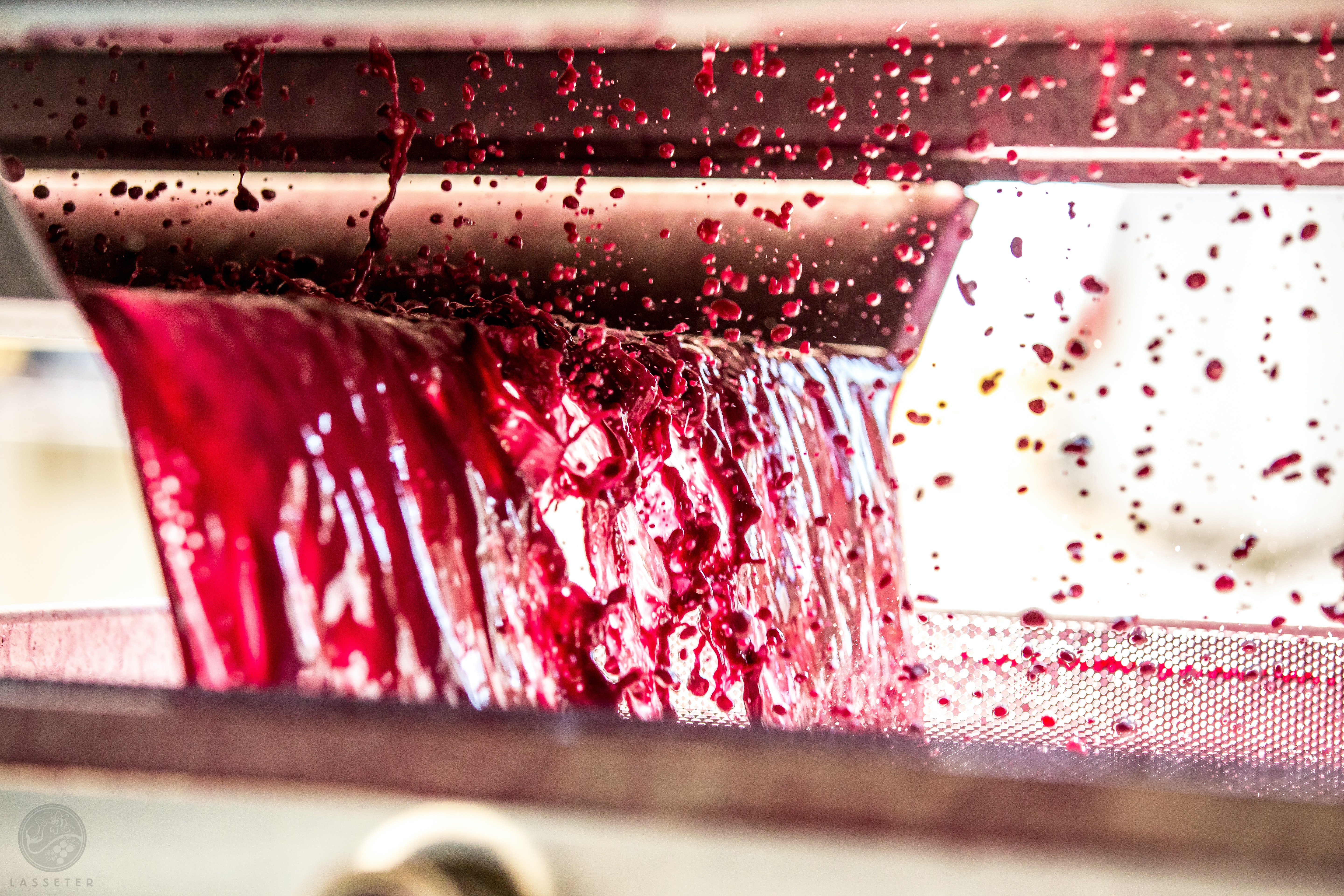 Lasseter-winery-O PKQsSplqo-unsplash