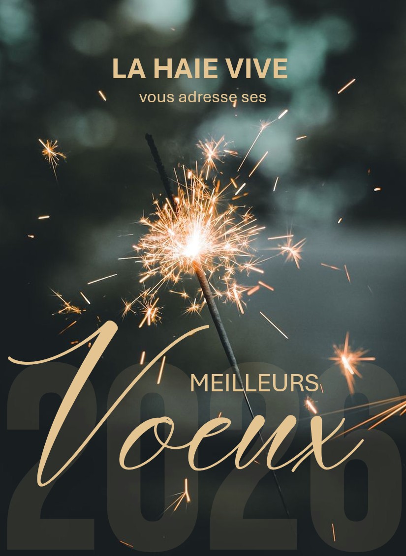 2026 voeux