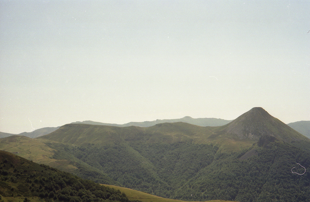 200308029