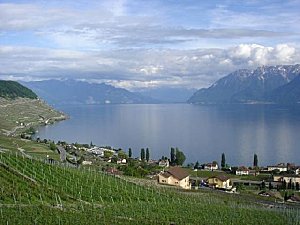 1990 lac de constance